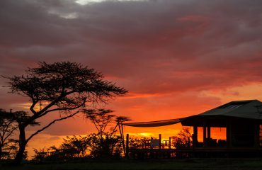 Leopard Hill Sunset