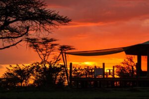asecamp Leopard Hill, safari Kenia, lodge Kenia, Naboisho Conservancy