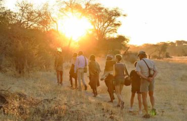 Meno a Kwena Bushmen walk