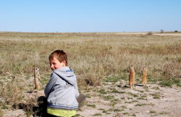 Tim bij stokstaartjes Kalahari ©All for Nature Travel
