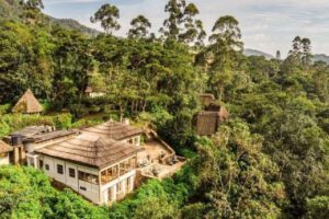 Bwindi Lodge, gorilla trekking, bwindi safari, berggorilla, volcanoes