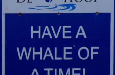 A Whale of a Time met St. Rugvin