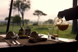 Dunia Camp, Asilia, Serengeti, Safari Tanzania