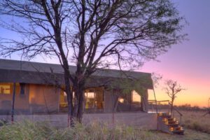 Dunia Camp, Asilia, Serengeti, Safari Tanzania