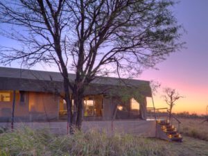 Dunia Camp, Asilia, Serengeti, Safari Tanzania