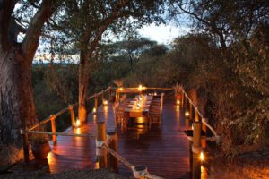Olivers Camp, Asilia, Tarangire NP, Safari Tanzania