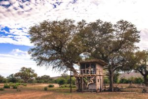 Hobatere, safari estosha, galton gate, reis namibie