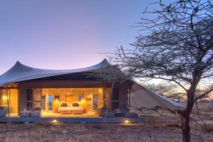Namiri Plains, Serengeti, Luxe Safari Tanzania