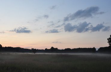 Avondnevel Oder Delta ©All for Nature Travel