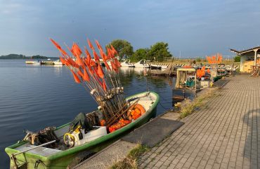 Haven Bootsafari Oder Delta ©All for Nature Travel