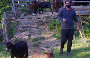 Herder in coronatijd  @AllforNatureTravel