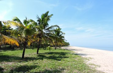 Kerala Beach
