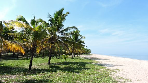 Kerala Beach