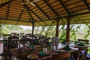 reis zuid india, safari nagahole, safari kabini, safari bandipur, reis zuid india, reis western ghats, reis west ghats, wildlife west ghats, wildlife reis india, natuurreis india, Kerala