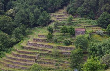 Zomerweides Peneda-Gerês National Park @AllforNatureTravel