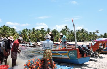 local fishermen