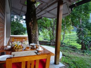 reis india, safari india, reis zuid india, reis western ghats, reis west ghats, wildlife west ghats, wildlife reis india, natuurreis india, Kerala