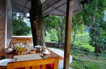 Munnar Windermere Estate ©All for Nature Travel