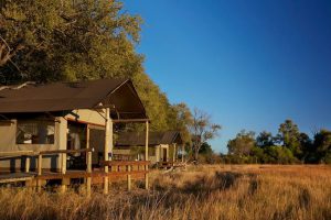 safari Okavango Delta