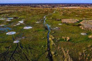 Okavango Delta