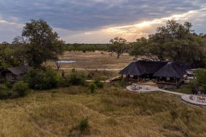 safari Okavango Delta