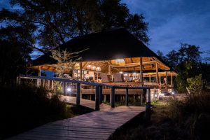 safari Okavango Delta