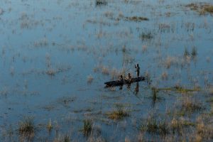 boot Okavango Delta, mokoro Okavango Delta
