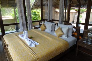 ecolodge Chinnar