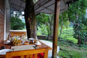overnachten op theeplantage India