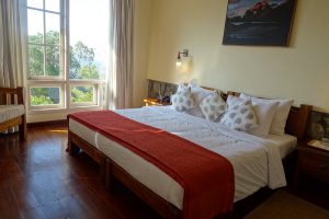luxe lodge Munnar