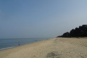 Marari Beach2