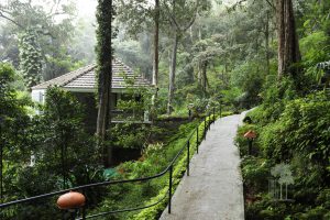 duurzame lodge Munnar