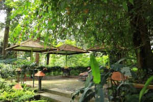 lodge natuur Zuid-India
