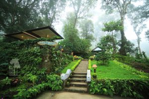 lodge natuur Munnar