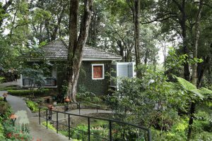 luxe huisjes India