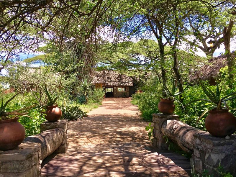 Aankomst bij Ndutu Safari Lodge