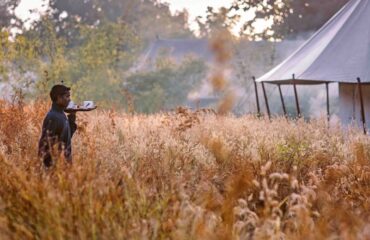 Jamtara Wilderness Camp - service