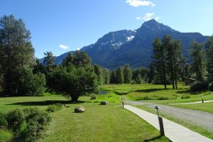 Tweedsmuir Park Lodge, lodge beren, lodge Canada