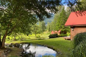 Tweedsmuir Park Lodge, lodge beren, lodge Canada