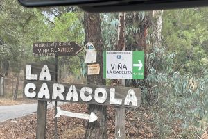 La Caracola reis Iberische lynx, Andujar Spanje, Sierra Morena