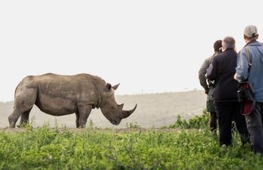 Rhino Ridge_bushwalk