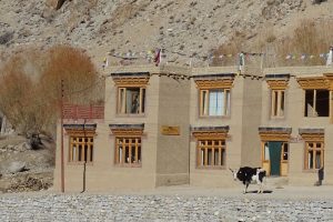 snow leopard lodge, sneeuwluipaard reis, reis Ladakh