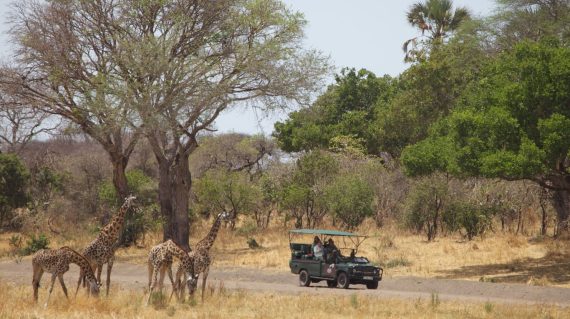 Katavi game drive