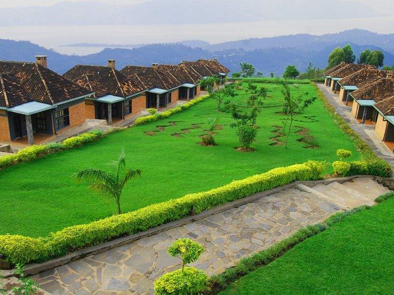 Reis Rwanda, safari Rwanda, Kingfisher