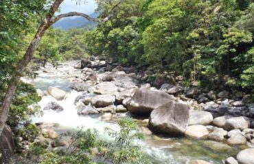 Tablelands mossman-gorge ©Kieke van Maarschalkerwaart