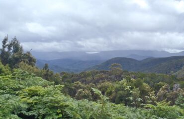 Tasmanie ©Kieke van Maarschalkerwaart