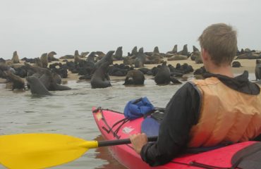 Walvis Bay canoeing