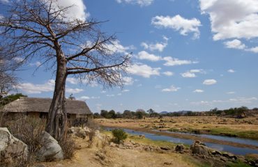 ruaha river lodge