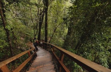 sendero Salto Huilo Huilo