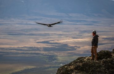 condor Torres del Paine